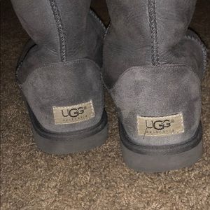 UGGS- tall grey uggs